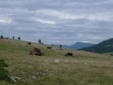 01. Ostaci nekih drugih vremena
